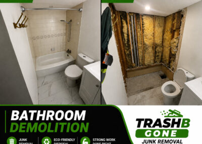 Bathroom Demolition