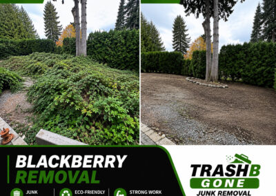 Blackberry Removal