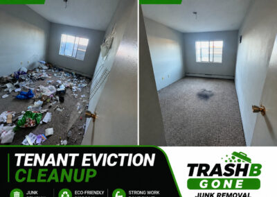 Tenant Eviction Cleanup