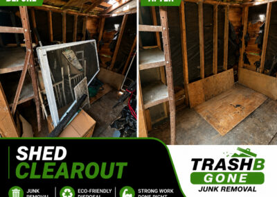 Shed Clearout