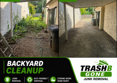 Backyard Cleanup