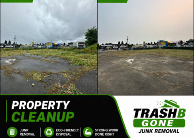 Property Cleanup