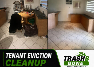 Tenant Eviction Cleanup