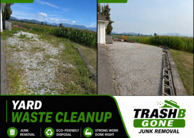 Yard Waste Cleanup