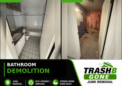 Bathroom Demolition
